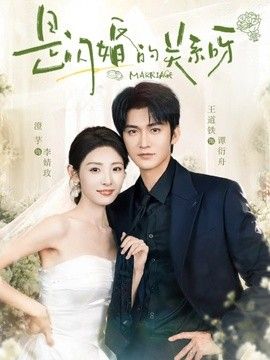 是闪婚的关系呀海报